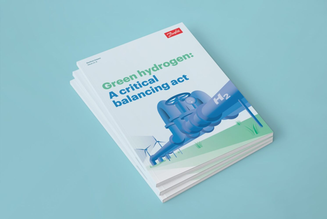 New whitepaper: Green Hydrogen - A Critical Balancing Act