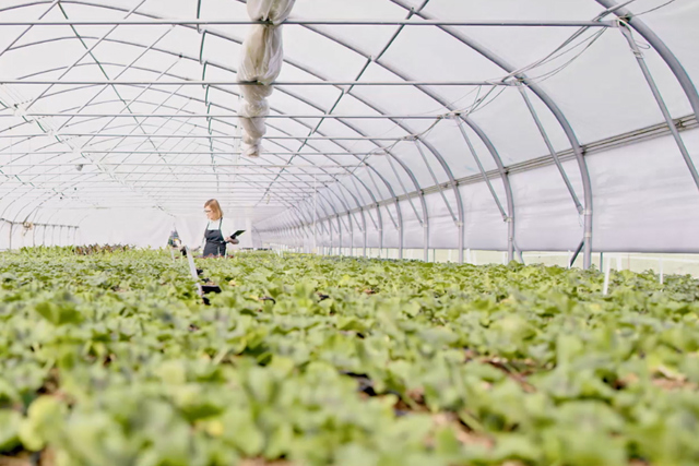 Reliable food supply