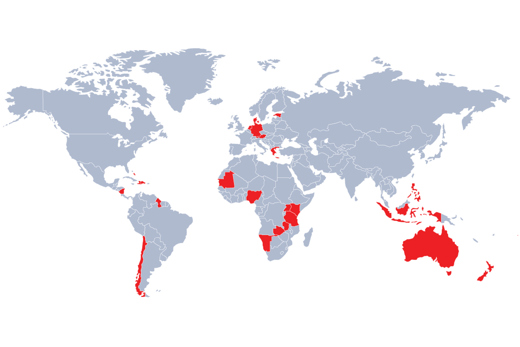 QINOUS energy storage optimizes co-generation globally | Danfoss