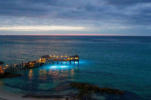 Suez Oil Free Danfoss App Pump