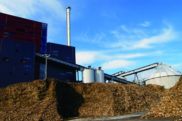 Biofuel power plant