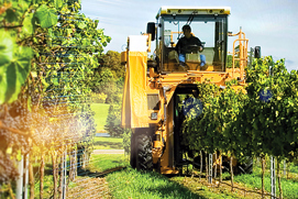 Precise work function control