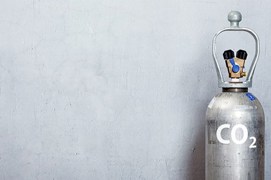 Close up of produce on grocery stores refrigerated shelves