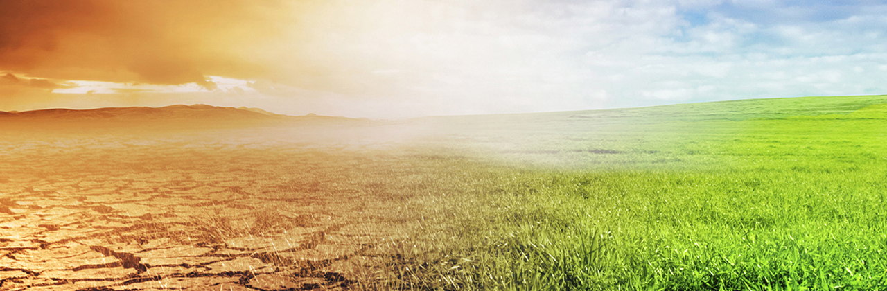 Decarbonization within water