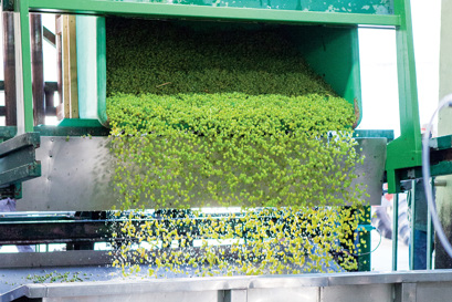 High production throughput for Reicholzheim