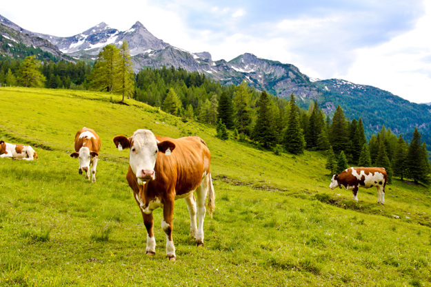 85% startup energy reduction for Reindl Kältetechnik