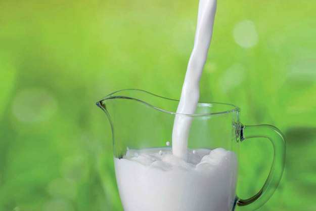 乳制品 — 倒牛奶 — 丹佛斯