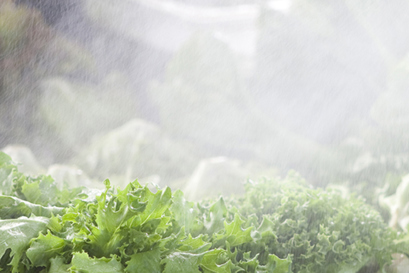 Hochdruckpumpen für die Befeuchtung von Danfoss