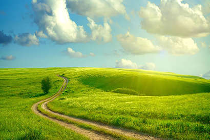 Hot gas defrost of low temperature refrigeration evaporators with natural refrigerants Danfoss