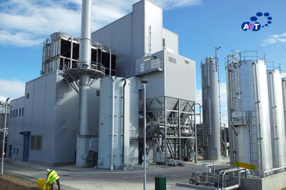 Rothes CoRDe plant