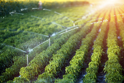 Irrigation Danfoss