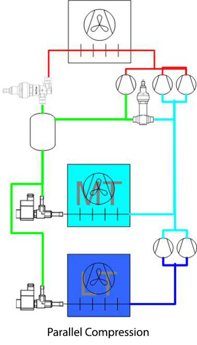 a parallel compression labeled