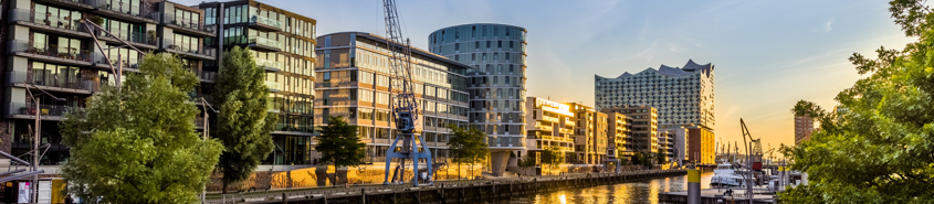 Follow the transformation