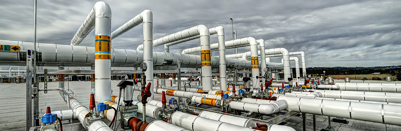 Ammonia in industrial refrigeration