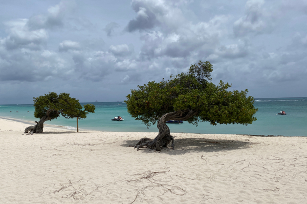 Suez retrofits containerized SWRO unit in Aruba