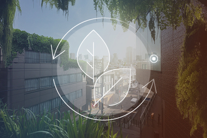 cut carbon footprints