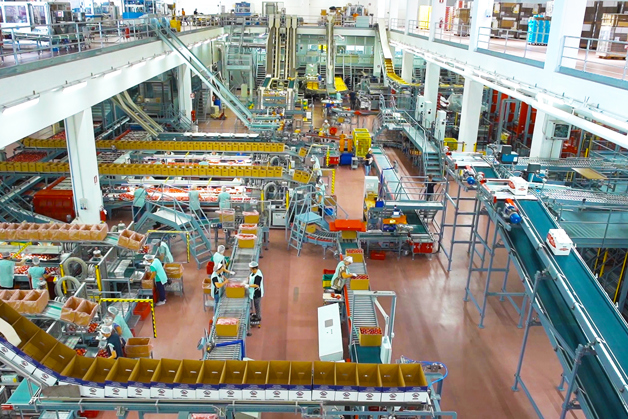 Apples at the Rivoira Group's Verzuolo site