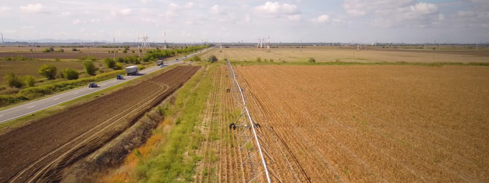 Campo del progetto di irrigazione