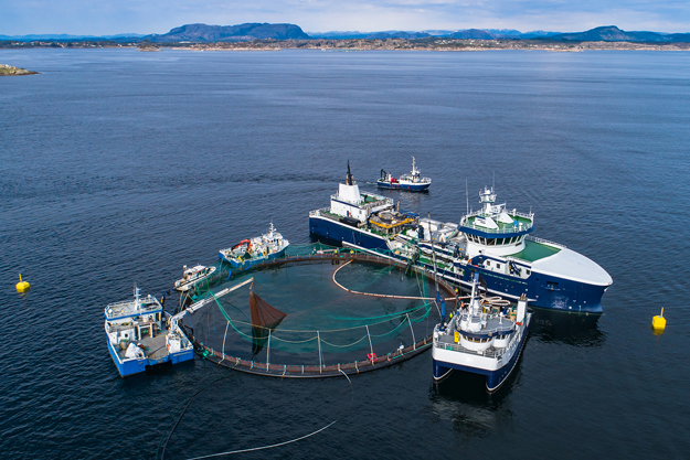 Fishing Trawlers, optimized and profitable fishing solution