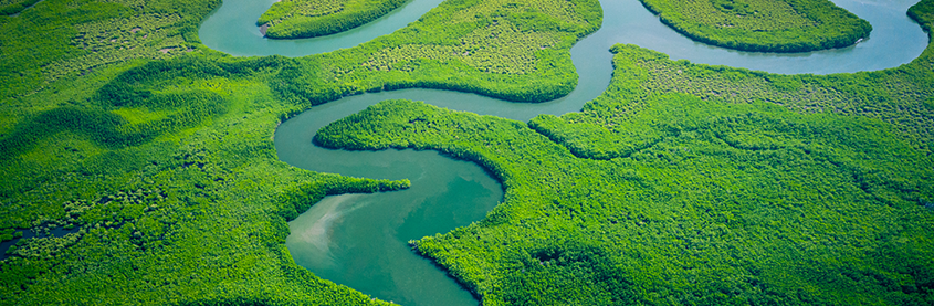 Never miss an insight!