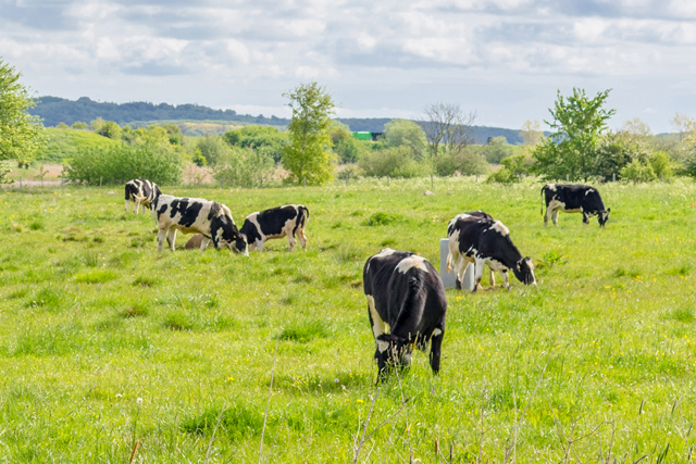 DrivePro® Services enable Arla Foods Ingredients Group to save 5-15% energy